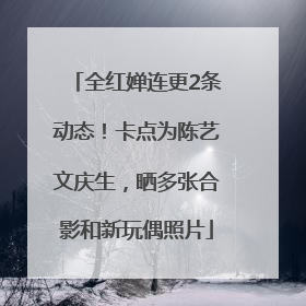 全红婵连更2条动态！卡点为陈艺文庆生，晒多张合影和新玩偶照片